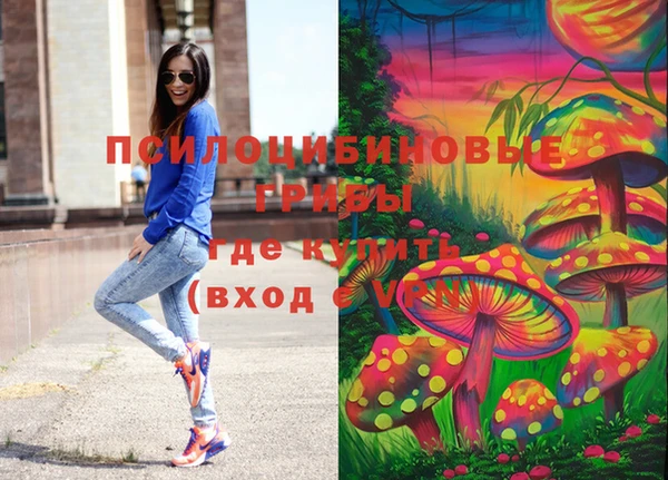 прущие грибы Алексин