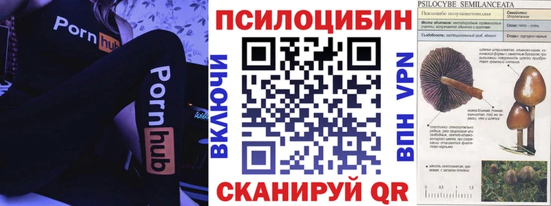 наркота Усть-Лабинск Галлюциногенные грибы GOLDEN TEACHER