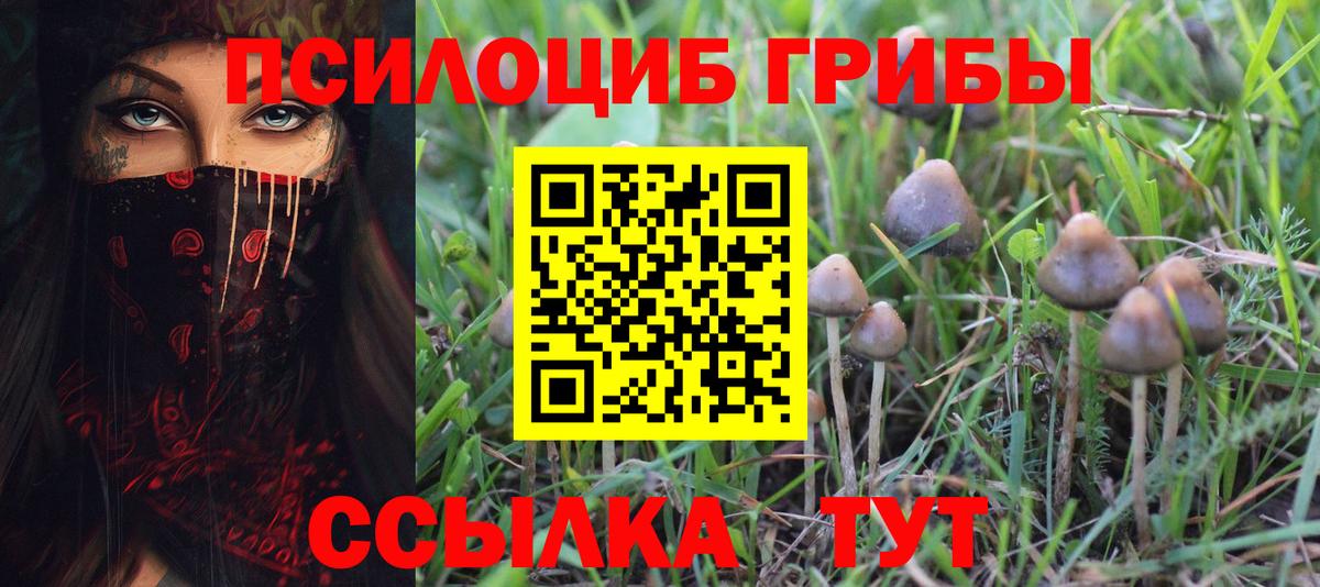 Галлюциногенные грибы Magic Shrooms  Псилоцибиновые грибы Magic Shrooms  Усть-Лабинск  Вход с VPN 